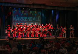 Narrenball2024 (137)