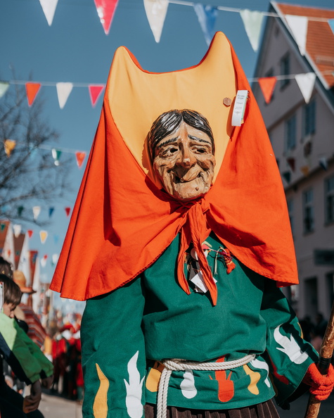 Fasnetsdienstag2024-web (283)