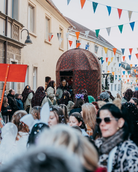 Fasnetsdienstag2024-web (517) (1256 Besuche) Fasnetsdienstag2024-web (517)
